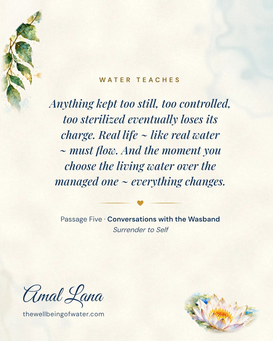 Water Teaches card: Anything kept too still, too controlled, too sterilized eventually loses its charge. Real life ~ like real water ~ must flow. And the moment you choose the living water over the managed one ~ everything changes.